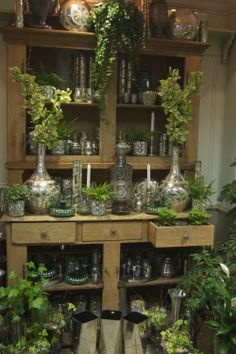 many plants and vases are on display in a room with wooden shelves filled with potted plants