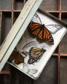 three monarch butterflies sitting on top of a piece of paper in a window sill