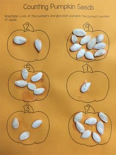 counting pumpkin seeds worksheet for preschool