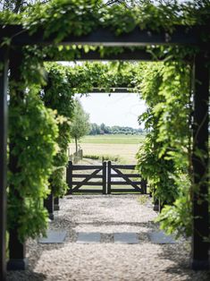 an open gate is surrounded by greenery