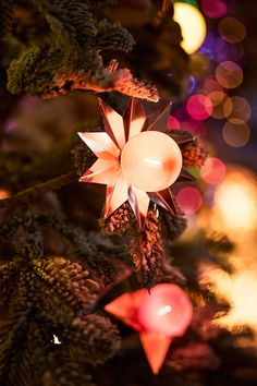 an ornament hanging from the top of a christmas tree with lights in the background