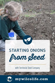 Ever thought about growing your own onions? 🧅 Learn how to start from seeds and manage your crops for a flavorful harvest. Find all the juicy details in our blog from our friends at Territorial Seed Company. Onions From Seed, Growing Onions From Seed, Mobile Vet, Growing Onions, Online Shipping, Vet Clinics, Garden Kits