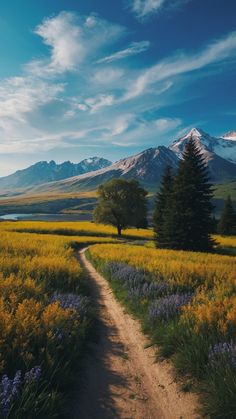 a dirt road in the middle of a field with trees and flowers on both sides