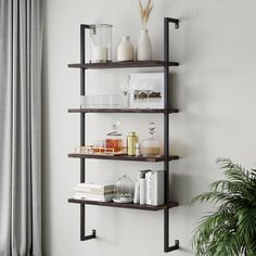 a shelf with books, candles and other items on it next to a plant in a room