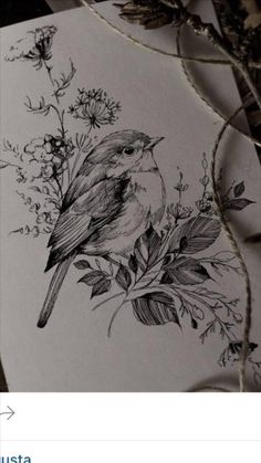 a drawing of a bird sitting on top of flowers