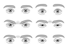 an image of various types of eyes with different shapes and sizes on the upper half of each eye