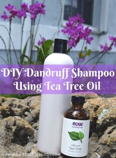 Diy Dandruff Shampoo, Tree Oil Benefits, Tea Tree Oil Hair, Tea Tree Oil Benefits, Tea Tree Oil Face, Tea Tree Oil For Acne, Now Essential Oils, Diy Tea, Shampoo Recipe