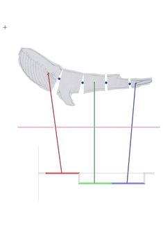 an image of a diagram showing the different parts of a bird's wing and tail