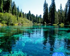 a body of water with trees in the background and blue skies above it, as seen from a kayak