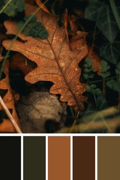 the color palette is brown and green