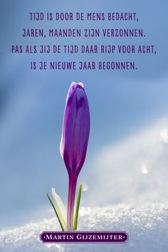 a purple flower sitting in the snow with a quote from martin gliemuter