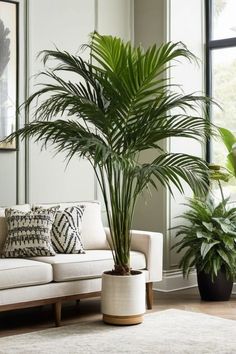 a living room filled with furniture and plants