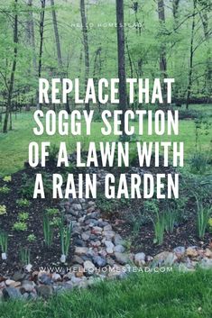 the words replace that soggy section of a lawn with a rain garden