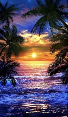 the sun is setting over the ocean with palm trees