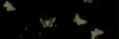 several white butterflies are flying in the dark