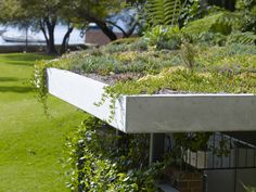 a green roof with plants growing on it