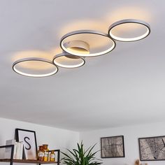 three circular lights are hanging from the ceiling above a potted plant and bookshelf