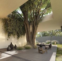 a large tree is next to some chairs on the ground and in front of a wall