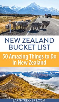 new zealand bucket list 50 amazing things to do in new zealand