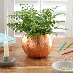 a potted plant sitting on top of a wooden table next to two bowls and a candle