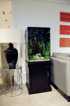 a fish tank sitting on top of a table next to a couch