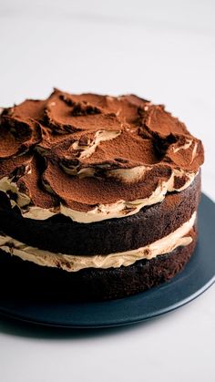 a chocolate cake with frosting on a plate