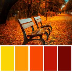 two wooden benches sitting in the middle of a park filled with fall colored leaves and trees