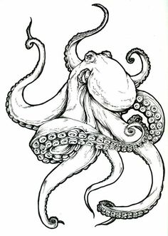 an octopus drawing with ink on paper