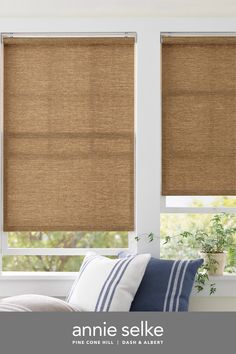 a living room with two windows covered in roman shades and blue throw pillows on the couch