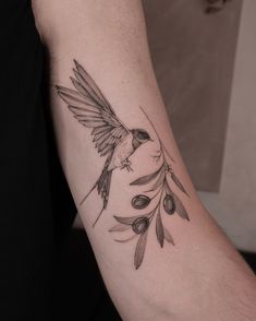 a bird with olives tattoo on the arm