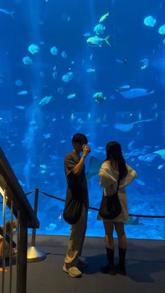 two people standing in front of an aquarium