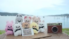 a group of stuffed animals sitting on top of a wooden table next to a camera