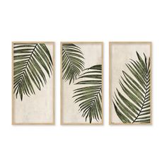 three framed paintings with palm leaves on them