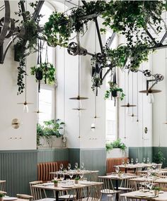 an indoor restaurant with plants hanging from the ceiling and tables set up in front of them