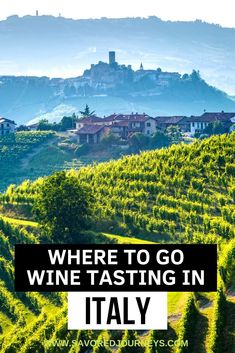 a vineyard with the words where to go wine tasting in italy