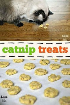 a cat eating out of a cookie sheet next to a photo of cookies on the floor