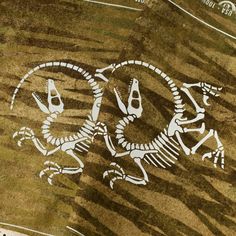 an animal skeleton is drawn on the ground