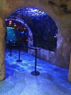 the entrance to an aquarium is lit up with blue lights and black metal poles in front of it