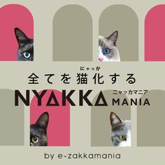 an advertisement with three cats and the words nyakka mania written in japanese on it