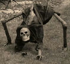 a skeleton is standing on its hind legs in the grass, with one leg bent over it's head