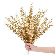 PRICES MAY VARY. You'll be provided: 20 pieces of fall eucalyptus stems in gold, enough to meet your daily use and replacement needs; You can also share them with family and friends; For storage and transportation, we bend the fall farmhouse decors slightly and you need to straighten them yourself when unpacking Reliable quality: these fall stems are made of quality plastic material and iron wires, reliable and sturdy, not easy to break or fade, look like real fall floral, which can serve you for a long time Moderate size: each fall faux flower is about 17 x 2 inches/ 43 x 5 cm, which is about the size of a real small plant, and because they're the right size, fall stems for vases can be widely applied in your daily life, ideal for making trinkets Suitable for making crafts: these fall wed Gold Flower Arrangements, Fake Leaf Decor, Cocktail Stand, Greece Theme, Gold Eucalyptus, Wedding Party Bouquets, Farmhouse Vase, Eucalyptus Stems, Faux Eucalyptus