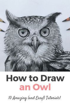 how to draw an owl 10 amazing and easy tips for drawing with colored pencils