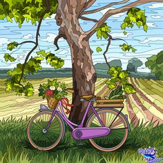 a purple bicycle parked next to a tree