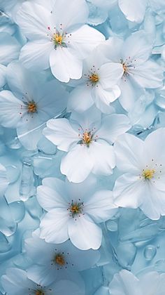 white flowers are floating in the water with blue bubbles around them, as if they were floating on top of each other