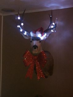 a deer head with lights on it's antlers is hanging from the ceiling