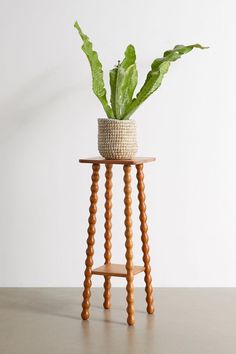 a potted plant sitting on top of a wooden stool