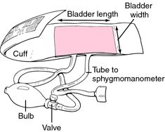 the parts of a blow dryer and how to use it for drying clothes,