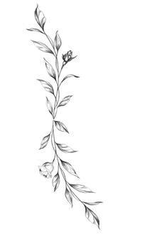 a black and white drawing of a branch with leaves