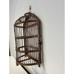 a bird in a cage hanging on the wall