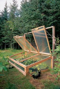 an open wooden box filled with plants in the middle of some grass and trees behind it